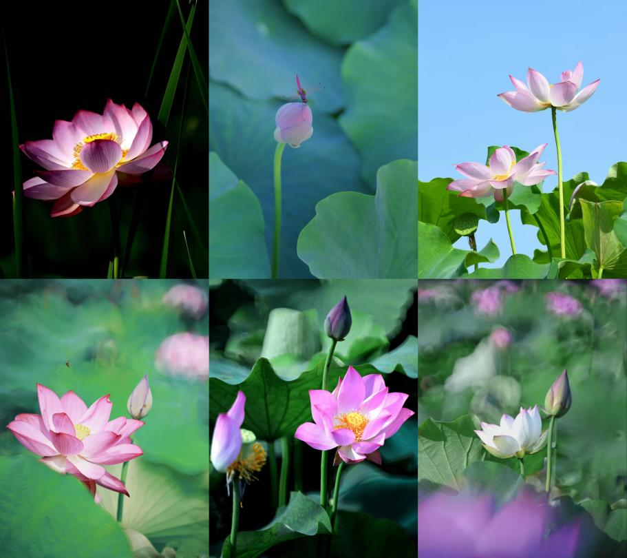 图片4.png xxxxx