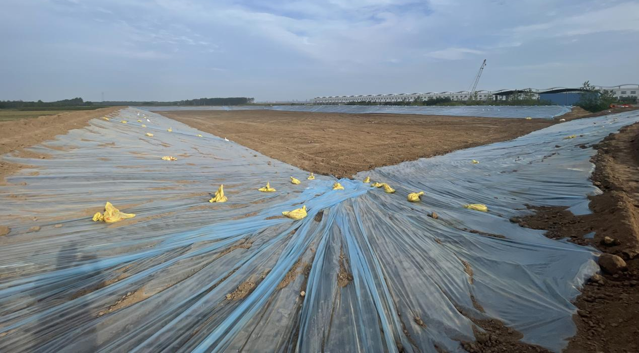 xxxxx